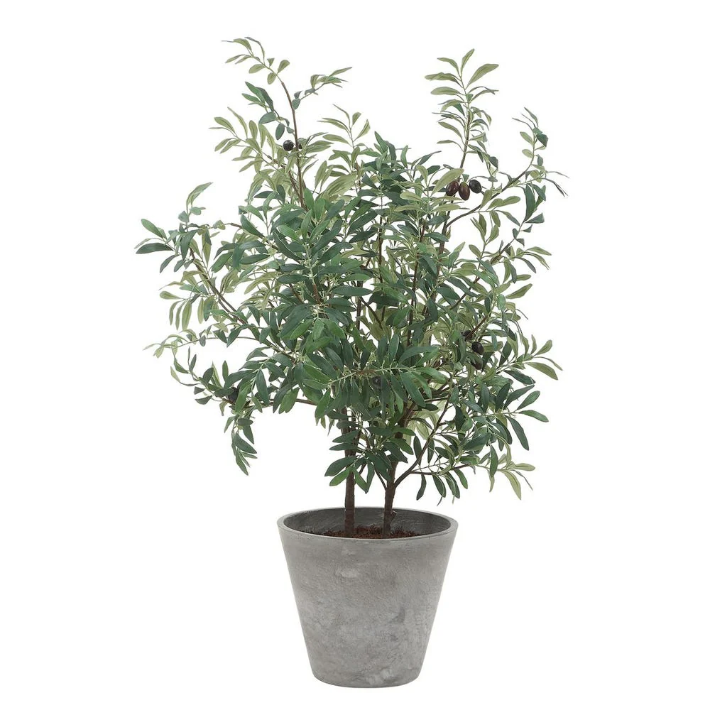 Uttermost Marisol Potted Olive In A Stone Gray Pot - Image 4