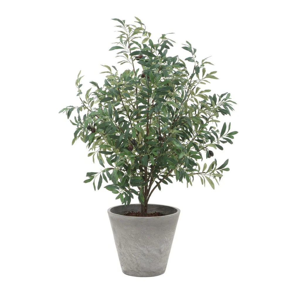 Uttermost Marisol Potted Olive In A Stone Gray Pot - Image 5