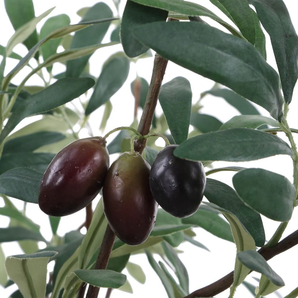 Uttermost Marisol Potted Olive In A Stone Gray Pot - Image 7