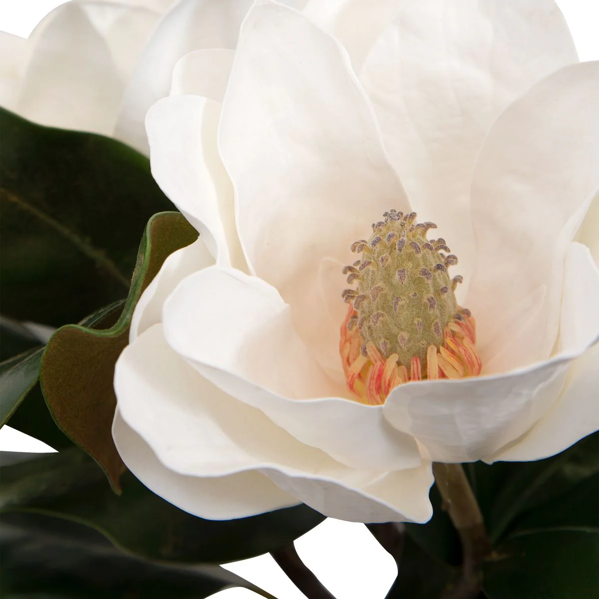 Uttermost Middleton Magnolia Centerpiece Botanicals - Image 6