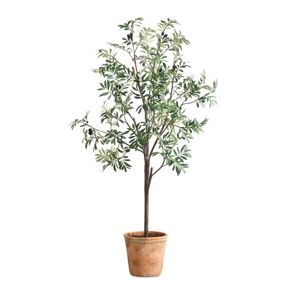 Uttermost Olea Life-Like Potted Olive Tree in Terracotta Finished Concrete Planter - Image 2