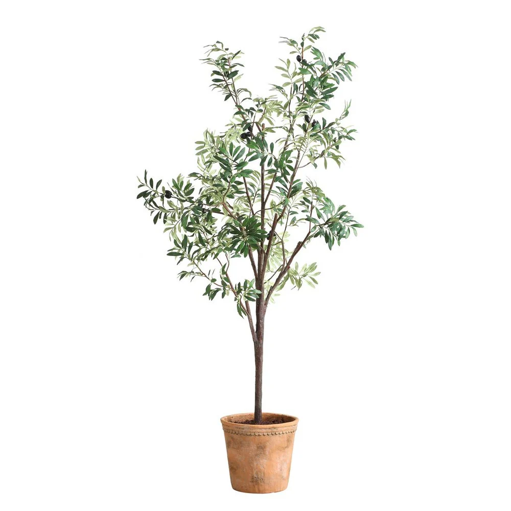 Uttermost Olea Life-Like Potted Olive Tree in Terracotta Finished Concrete Planter - Image 3