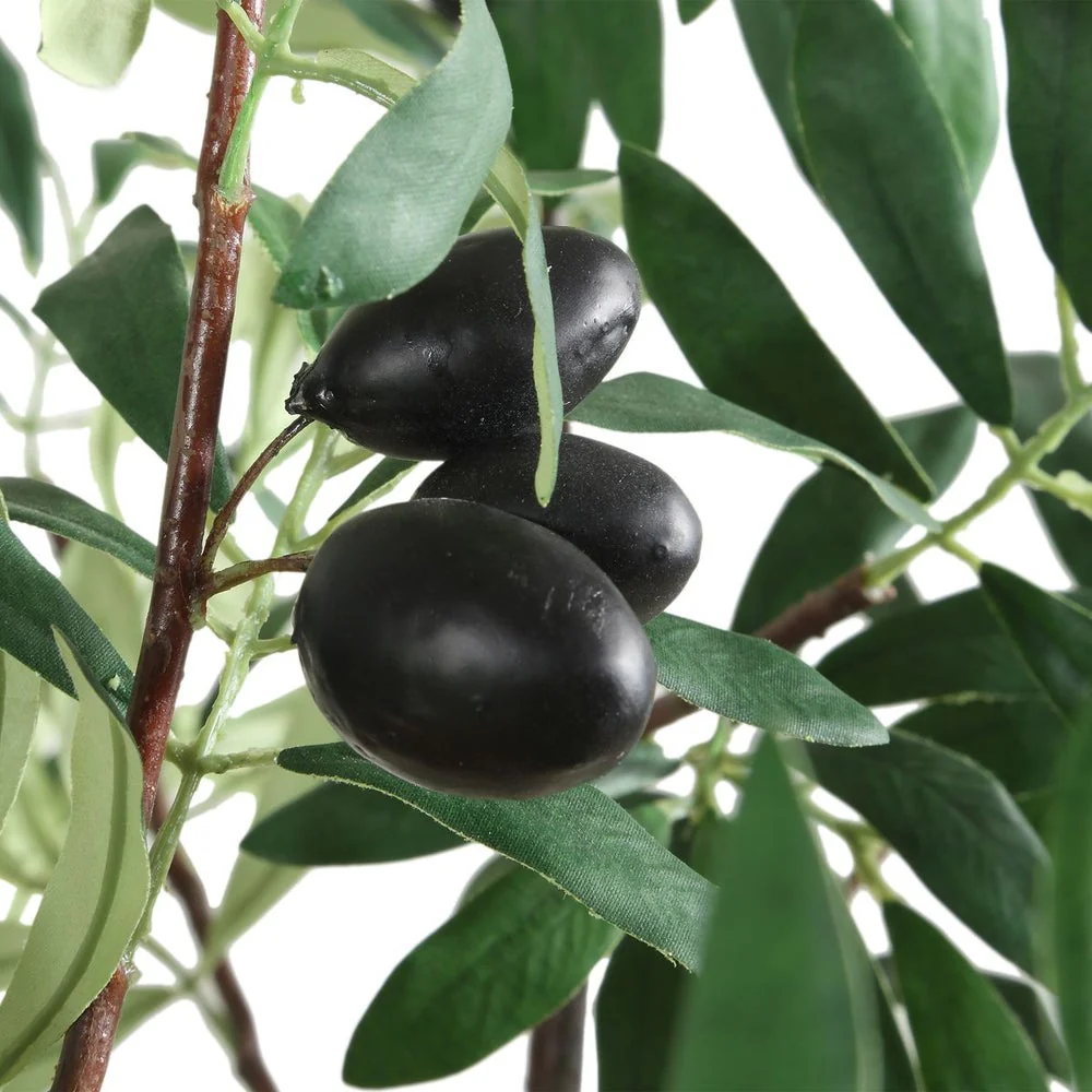 Uttermost Olea Life-Like Potted Olive Tree in Terracotta Finished Concrete Planter - Image 4