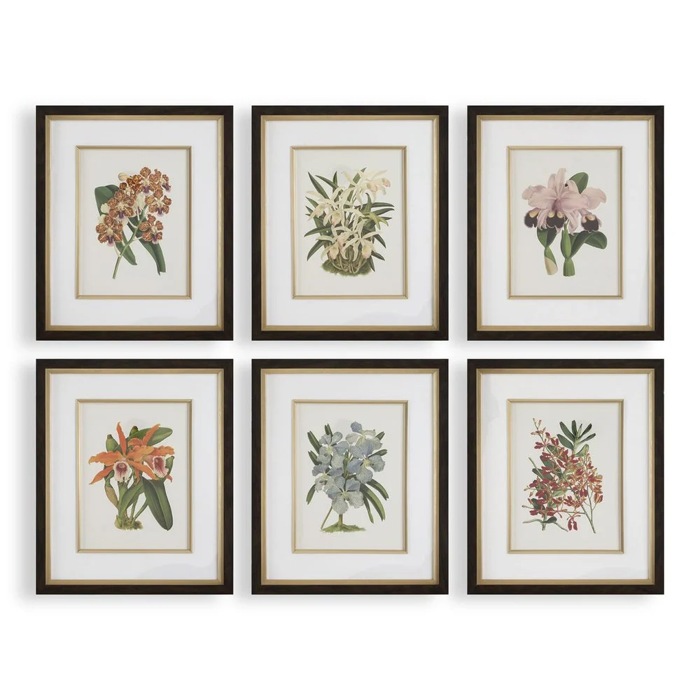 Uttermost Orchid Botanical Framed Prints ~ Set Of 6 - Image 2