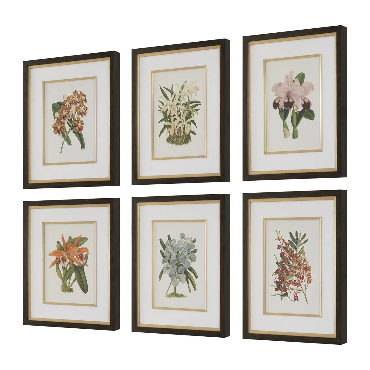 Uttermost Orchid Botanical Framed Prints ~ Set Of 6 - Image 3