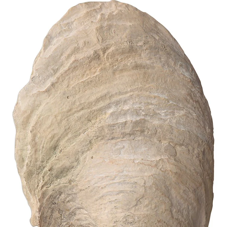 Uttermost Oyster Shell and Crystal Set of 2 Sculptures - Image 7