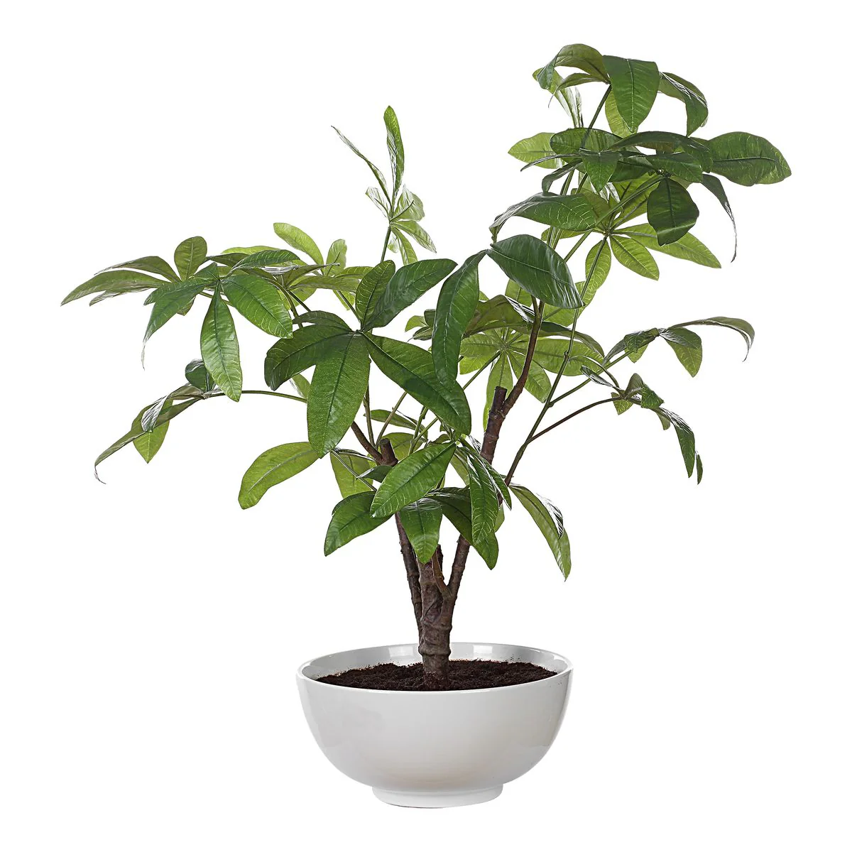 Uttermost Pachira Money Tree Botanicals - Image 2
