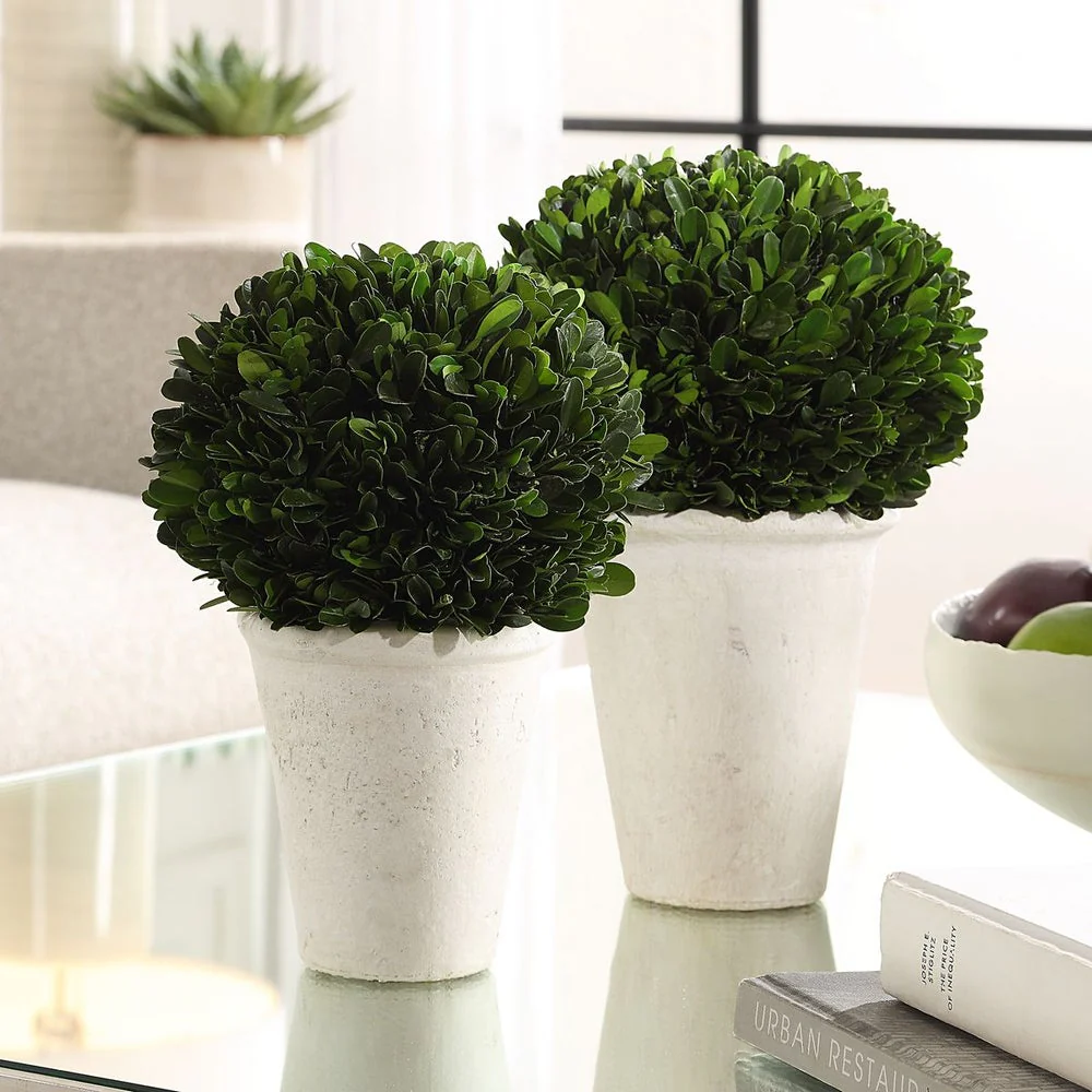 Uttermost Preserved Boxwood Domes, Set Of Two Botanicals - Image 2