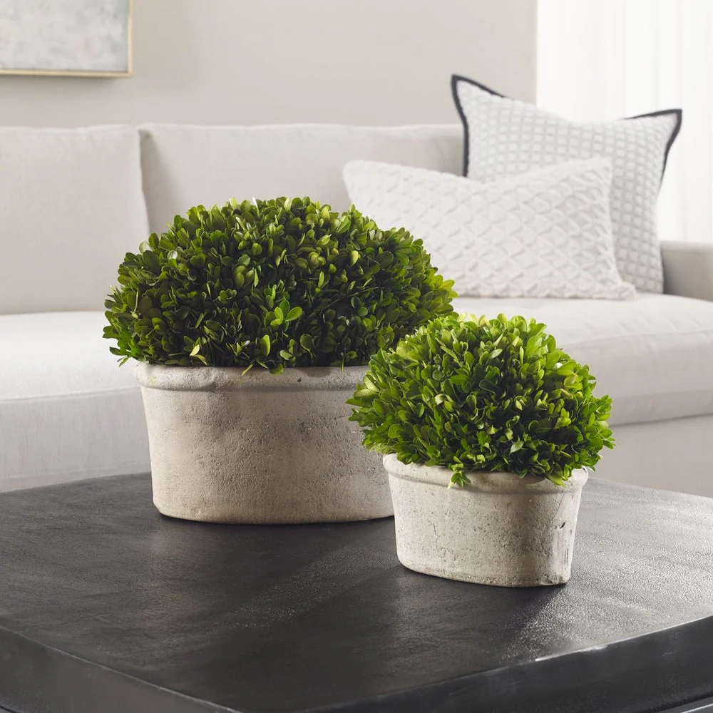 Uttermost Preserved Boxwood Oval Domes, Set Of Two Botanicals