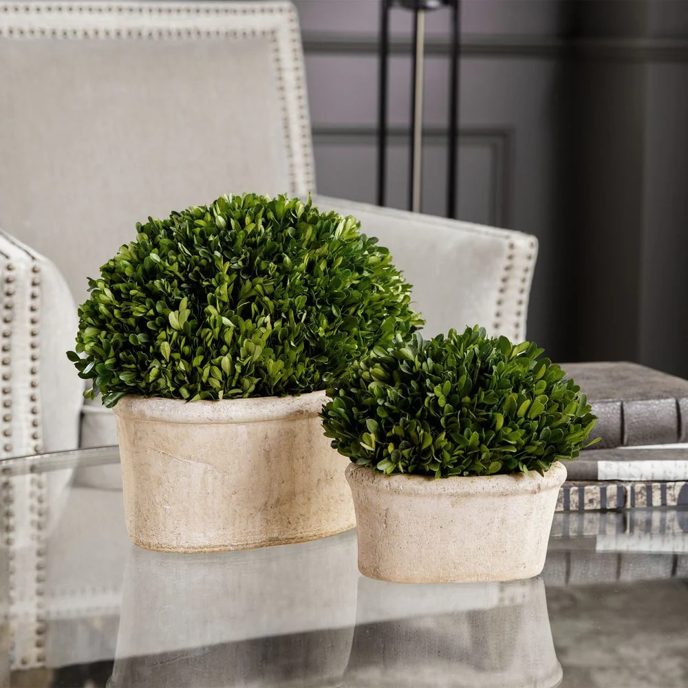 Uttermost Preserved Boxwood Oval Domes, Set Of Two Botanicals - Image 4