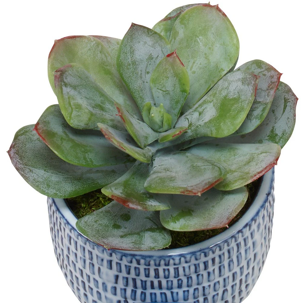 Uttermost Puebla Green Set Of Three Botanicals - Image 3