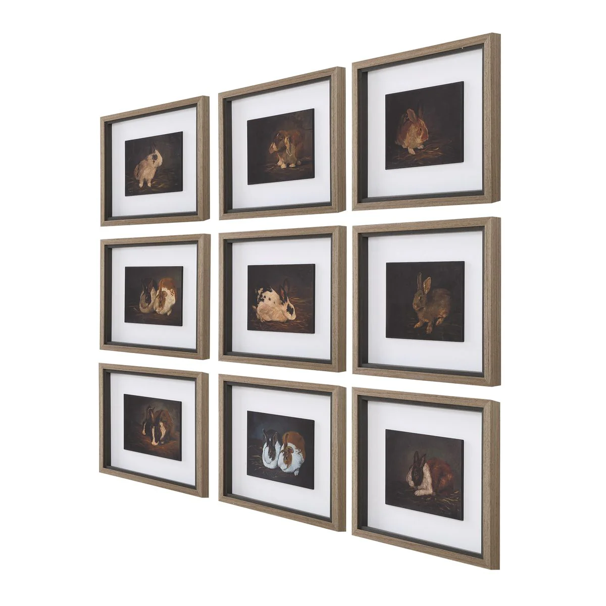Uttermost Resting Bunny Framed Prints Set Of Nine - Image 3