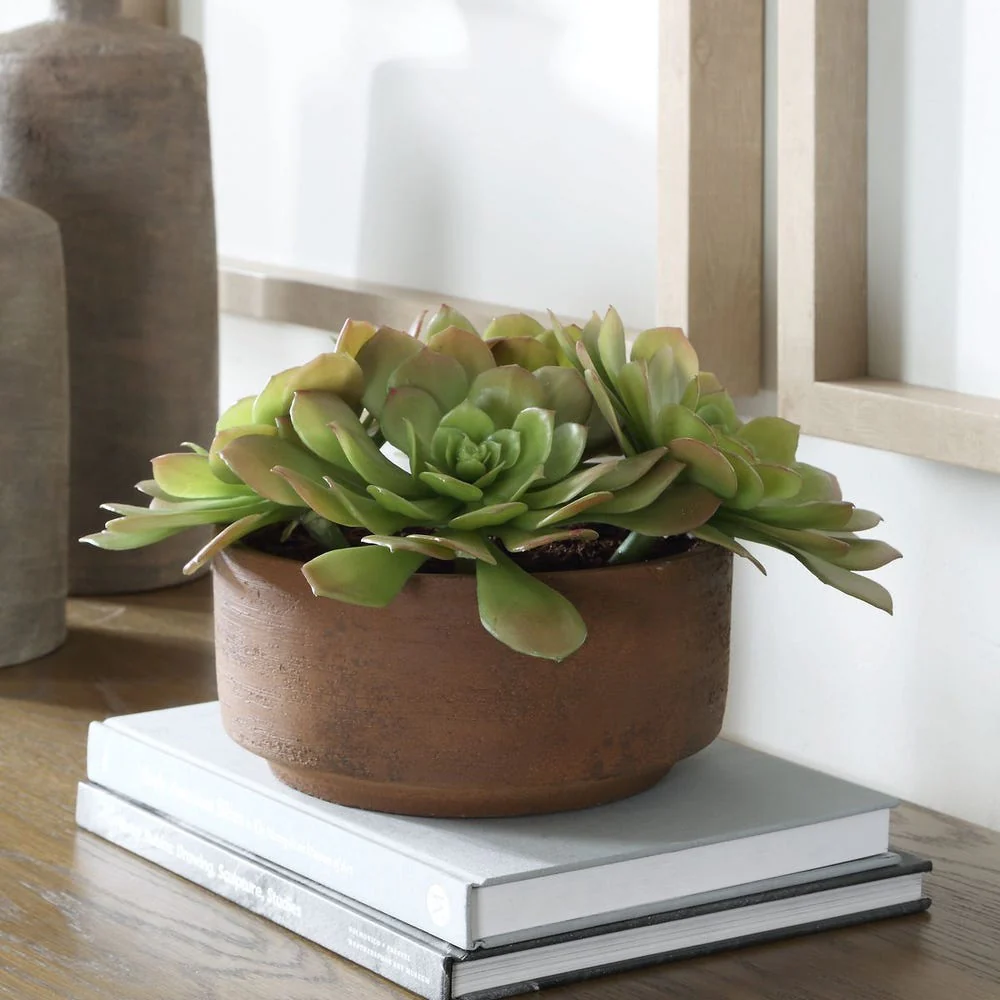 Uttermost Sable Succulent Accent In A Natural Terracotta Finish - Image 2