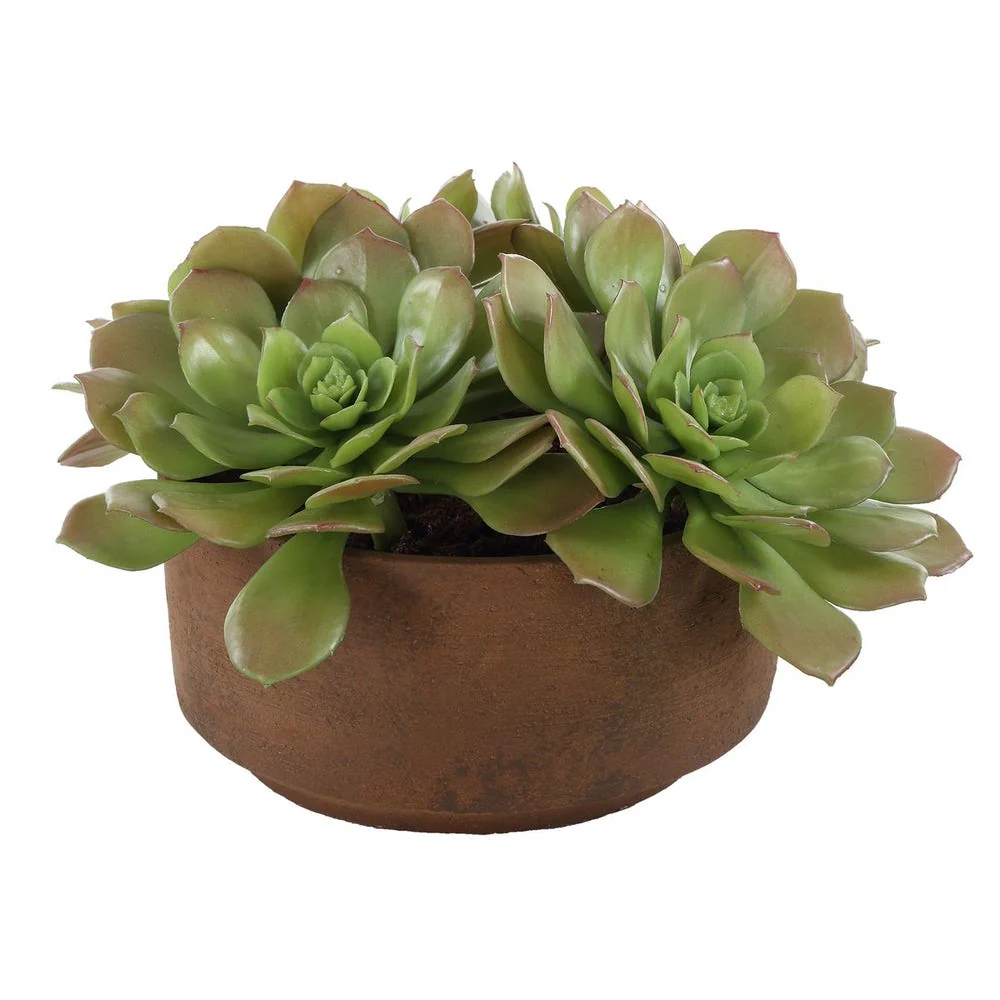 Uttermost Sable Succulent Accent In A Natural Terracotta Finish - Image 3
