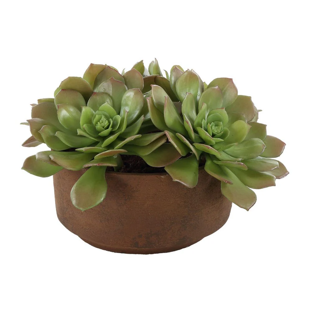 Uttermost Sable Succulent Accent In A Natural Terracotta Finish - Image 5