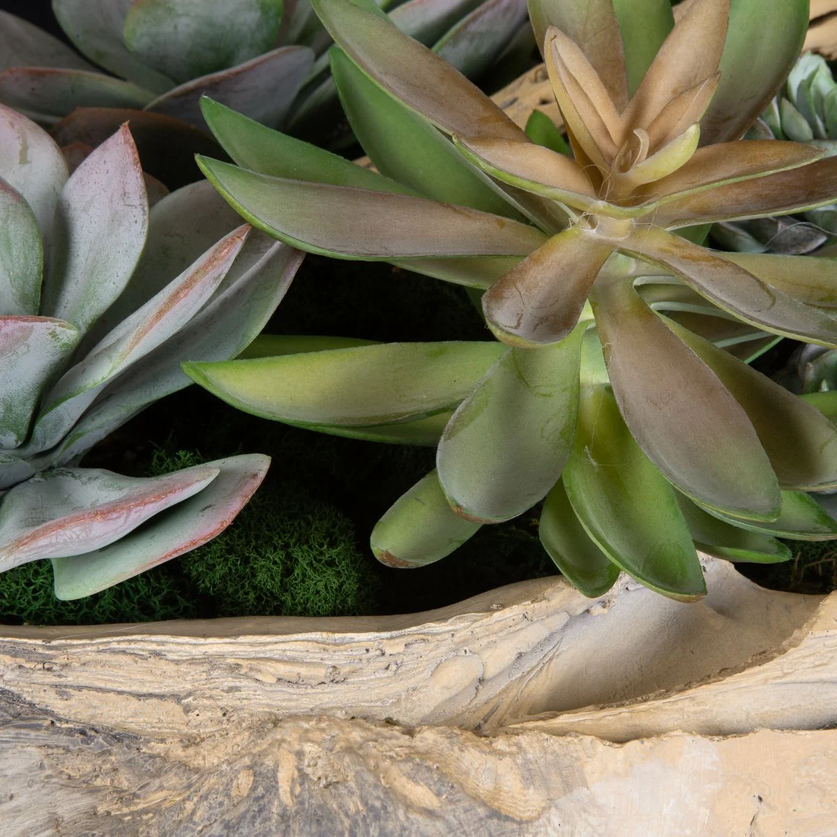 Uttermost Seaside Breeze Succulents Botanicals - Image 3