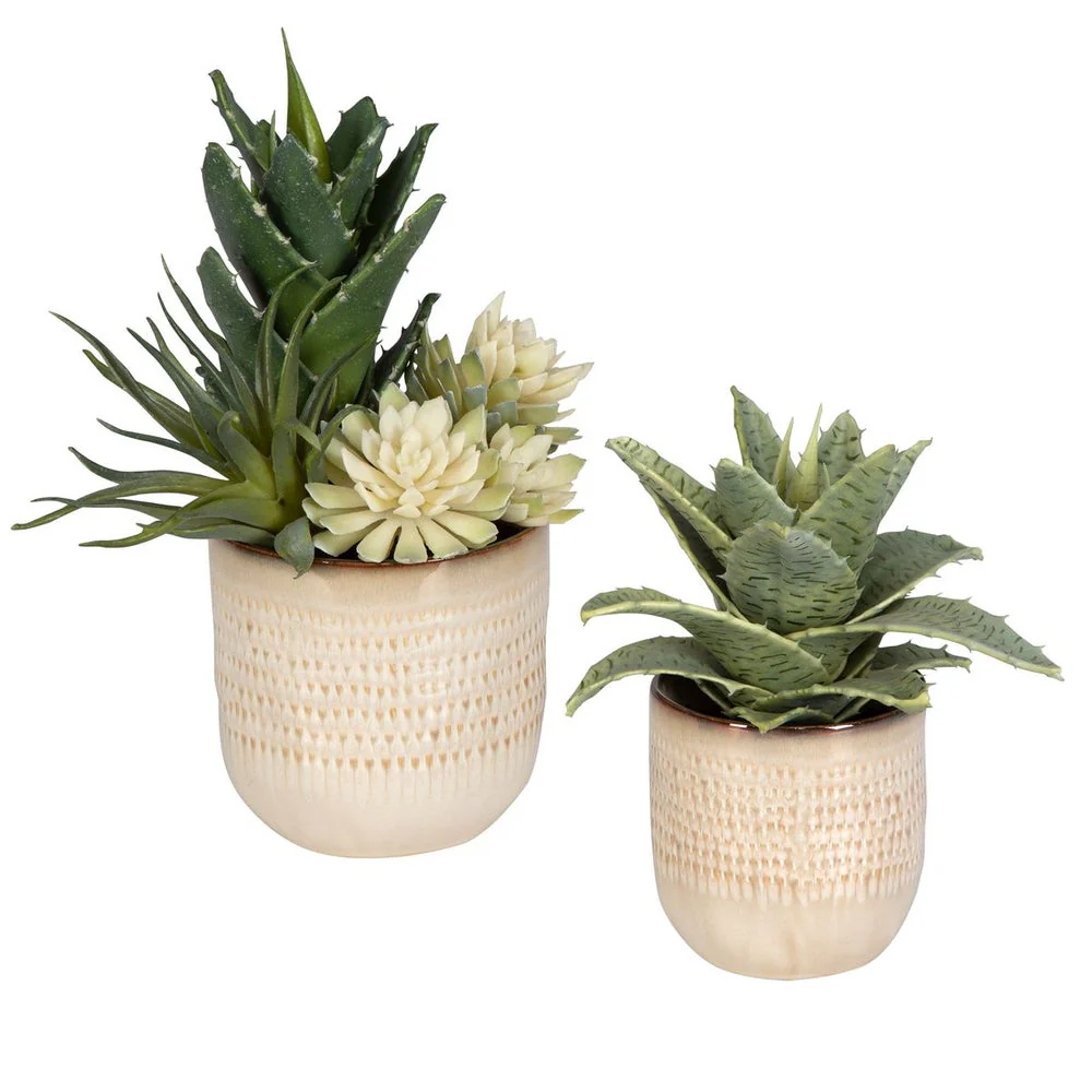 Uttermost Seaside Succulents, Set Of Two  Botanicals - Image 3