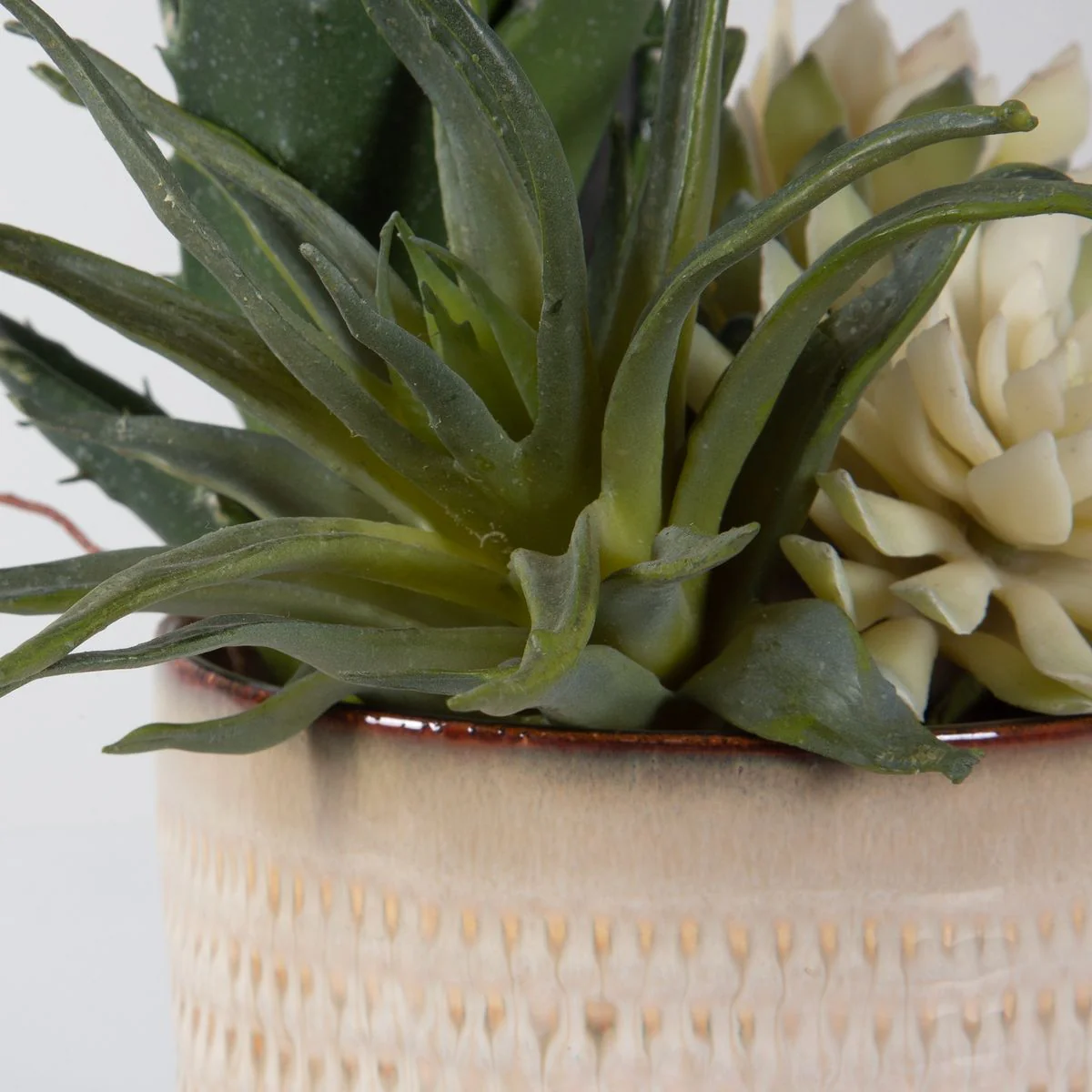 Uttermost Seaside Succulents, Set Of Two  Botanicals - Image 5