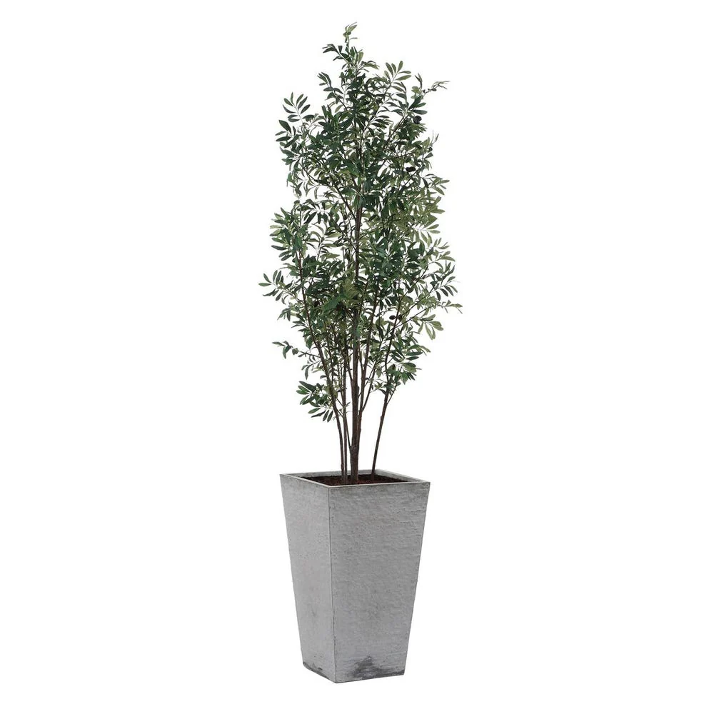 Uttermost Sonora Olive Tree In A Textured Gray Concrete Planter - Image 3