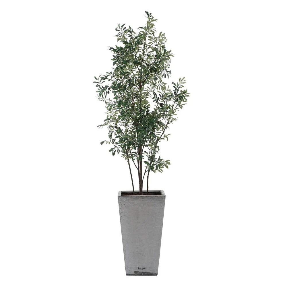 Uttermost Sonora Olive Tree In A Textured Gray Concrete Planter - Image 4
