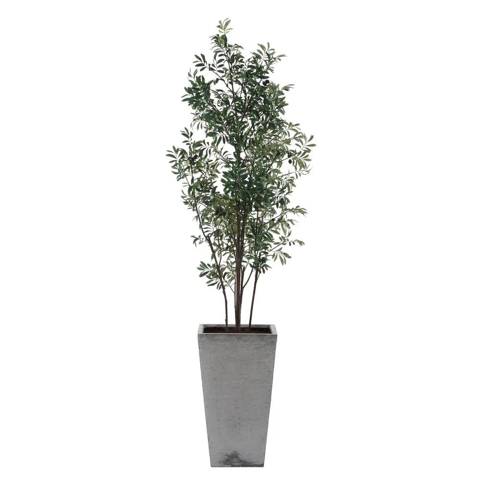Uttermost Sonora Olive Tree In A Textured Gray Concrete Planter - Image 5