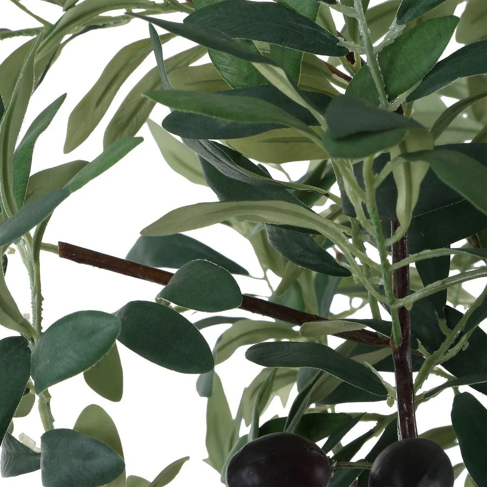 Uttermost Sonora Olive Tree In A Textured Gray Concrete Planter - Image 6