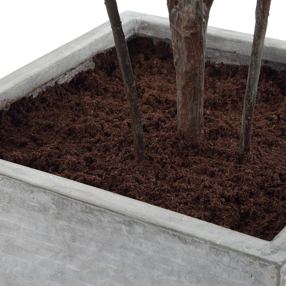 Uttermost Sonora Olive Tree In A Textured Gray Concrete Planter - Image 7