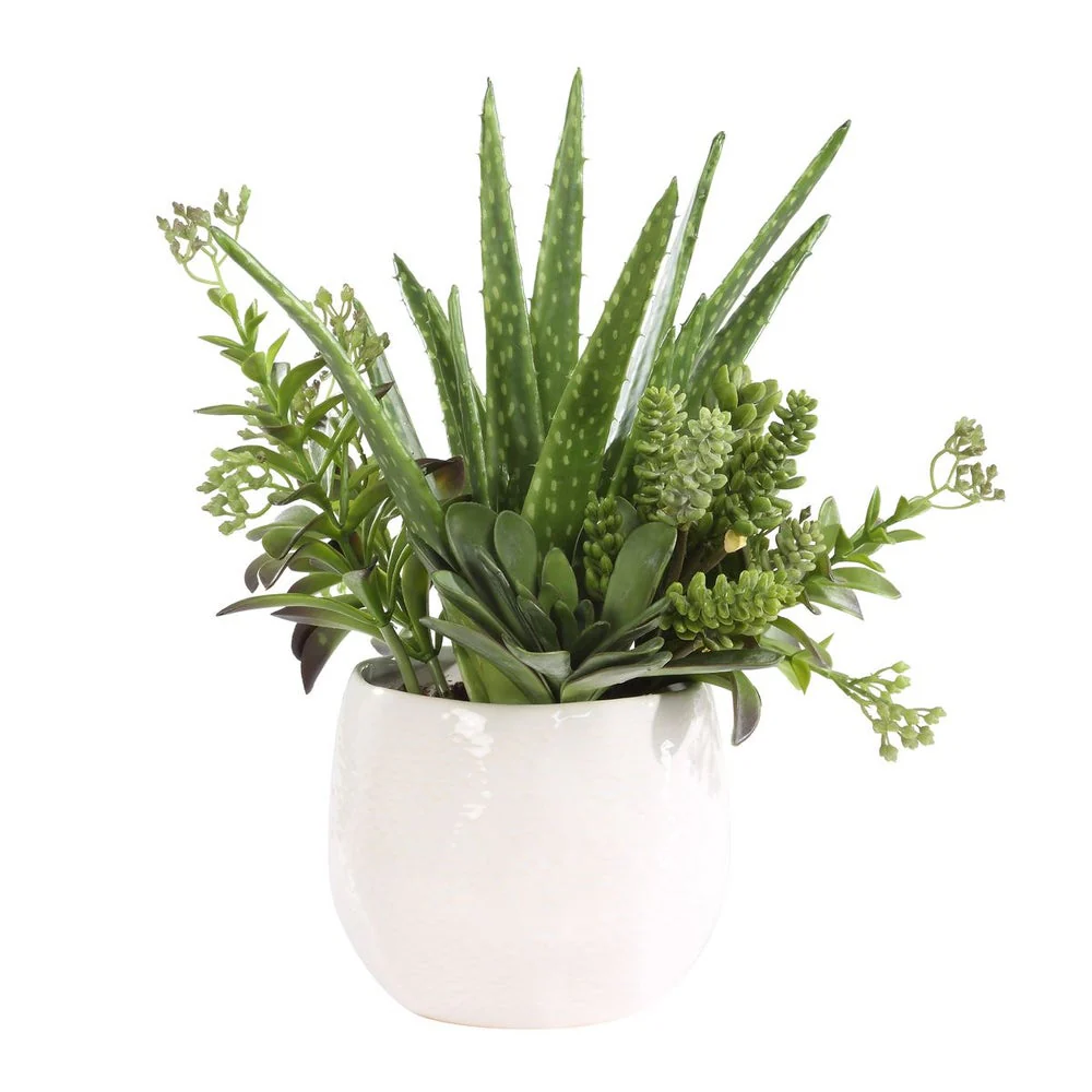 Uttermost Sundown Textural Mix Of Succulents In White Ceramic Planter - Image 3