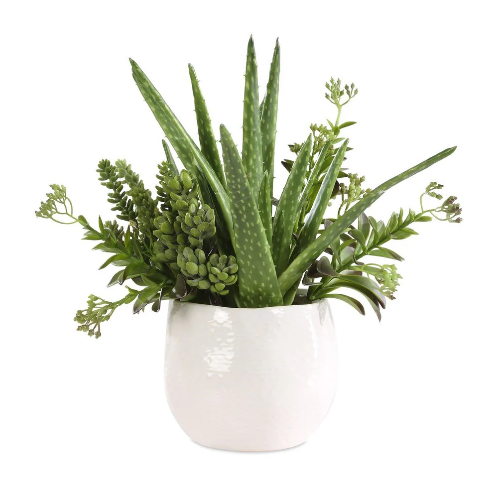 Uttermost Sundown Textural Succulents With White Gloss Ceramic Planter - Image 2