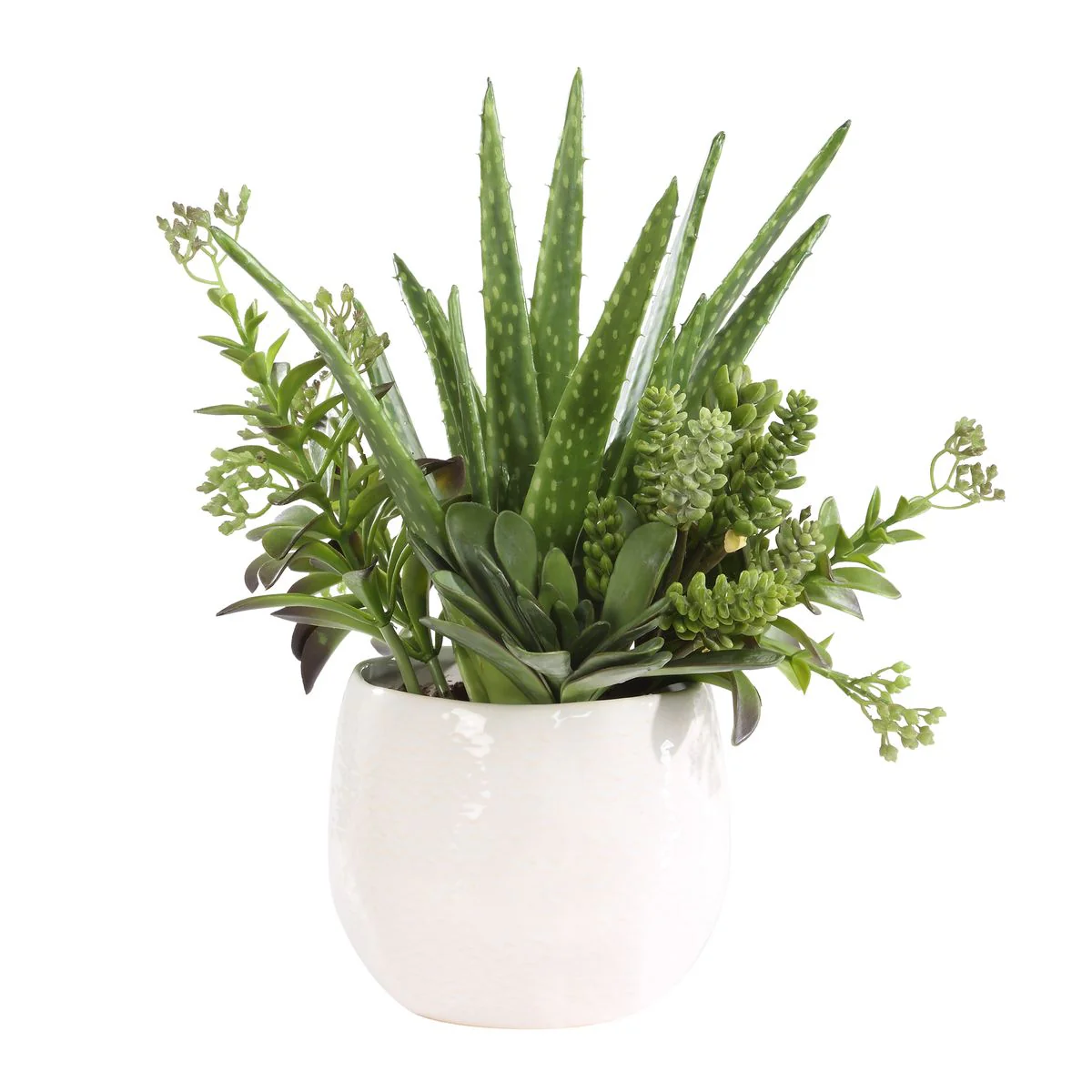 Uttermost Sundown Textural Succulents With White Gloss Ceramic Planter - Image 3