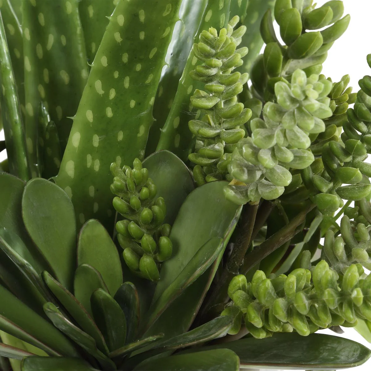 Uttermost Sundown Textural Succulents With White Gloss Ceramic Planter - Image 4