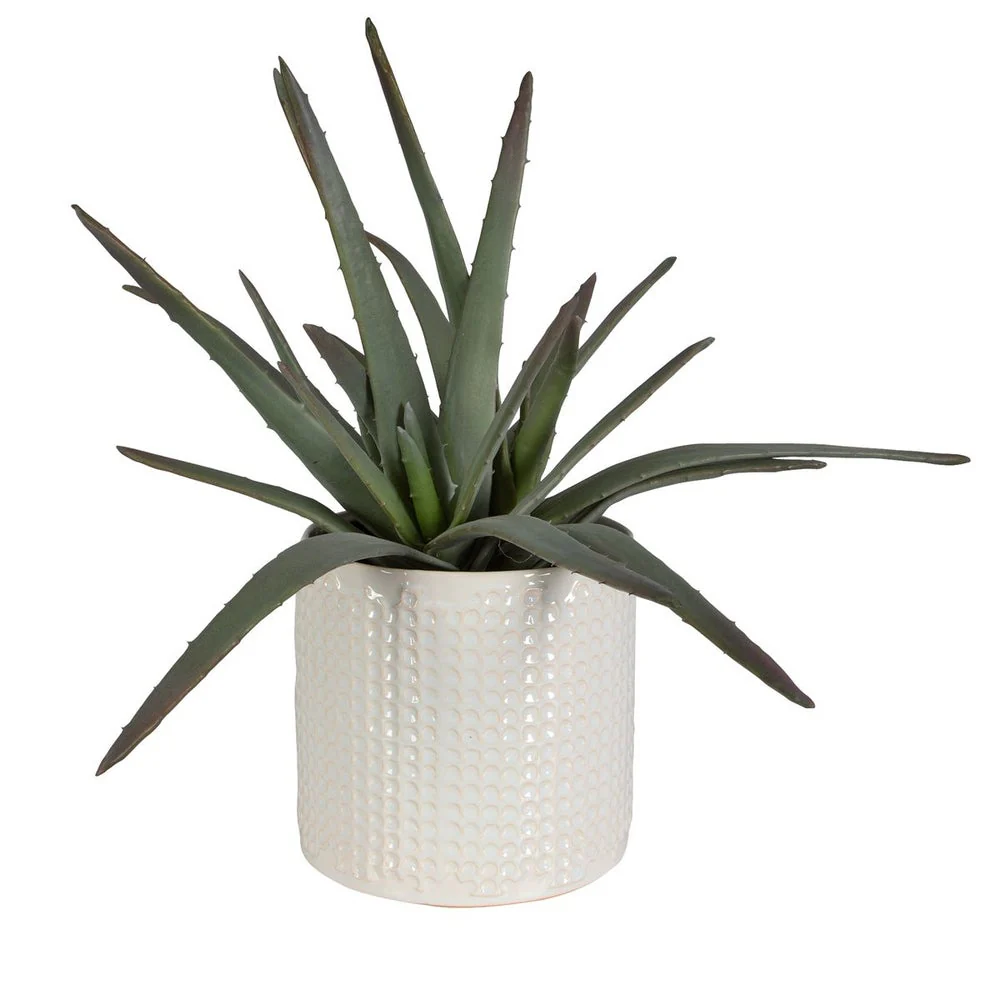 Uttermost Taos Aloe Centerpiece Botanicals - Image 3
