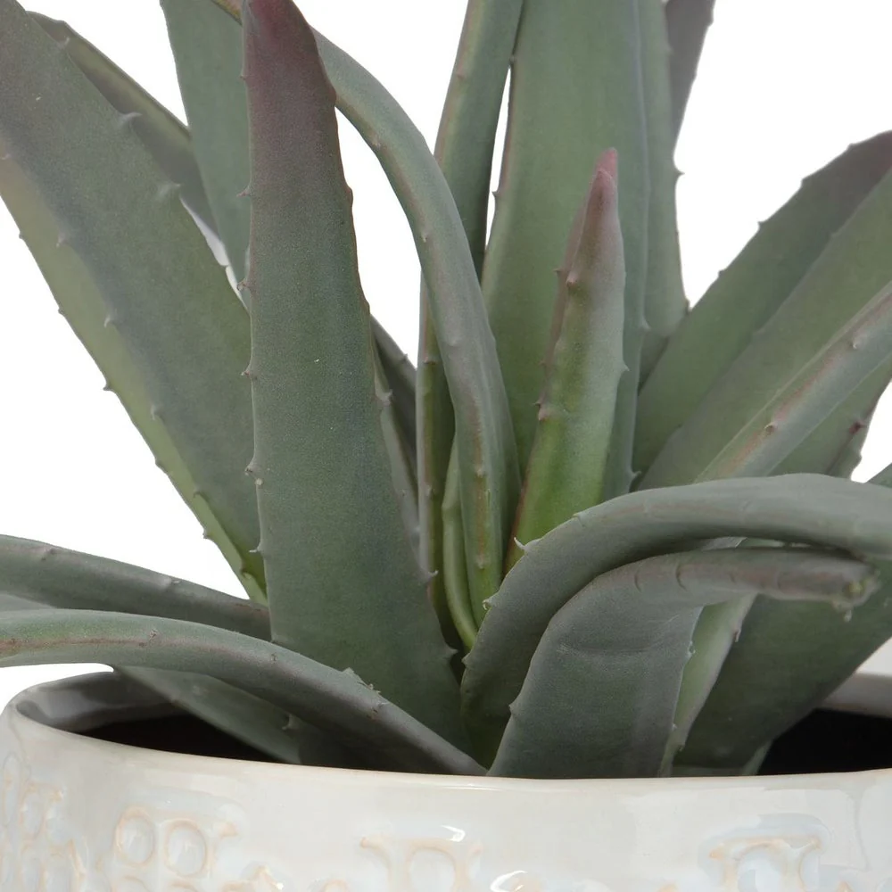 Uttermost Taos Aloe Centerpiece Botanicals - Image 4
