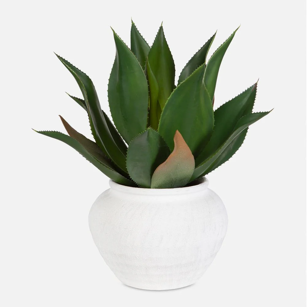 Uttermost Tierra Agave Centerpiece Botanicals - Image 2