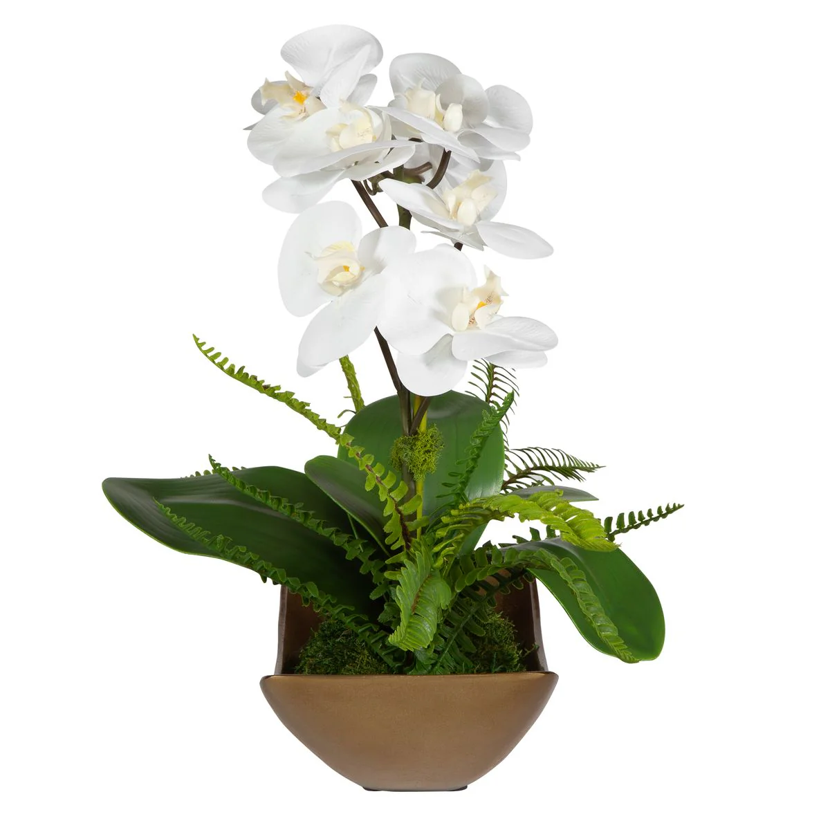 Uttermost Transcend Orchid Botanicals - Image 2