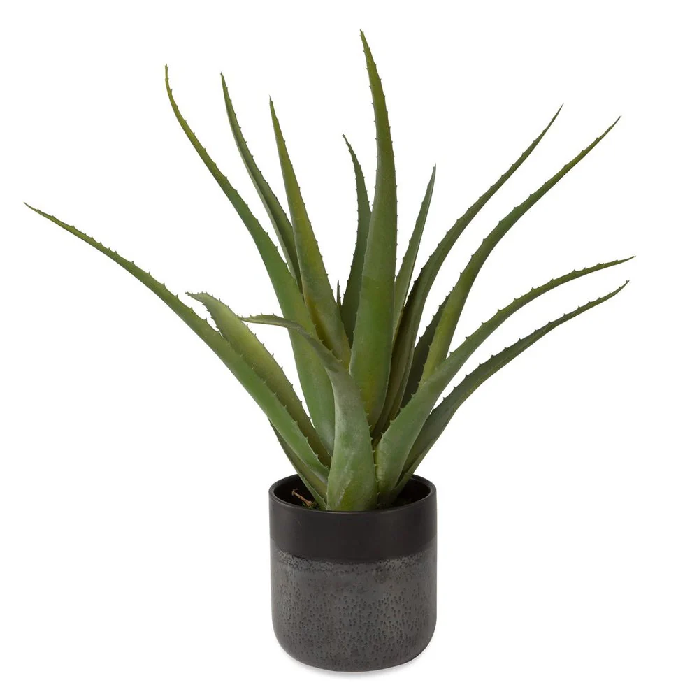 Uttermost Tucson Aloe Planter Botanicals - Image 3