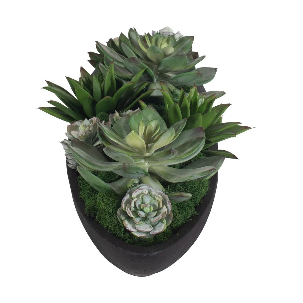 Uttermost Verde Succulent Centerpiece - Image 5