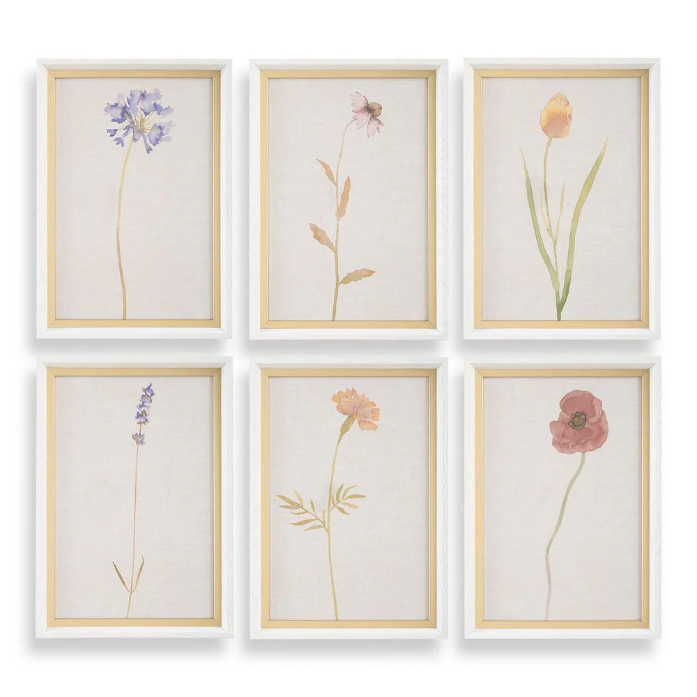 Uttermost Wild Flourish Framed Prints Set Of Six