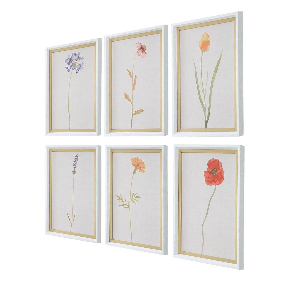 Uttermost Wild Flourish Framed Prints Set Of Six - Image 3