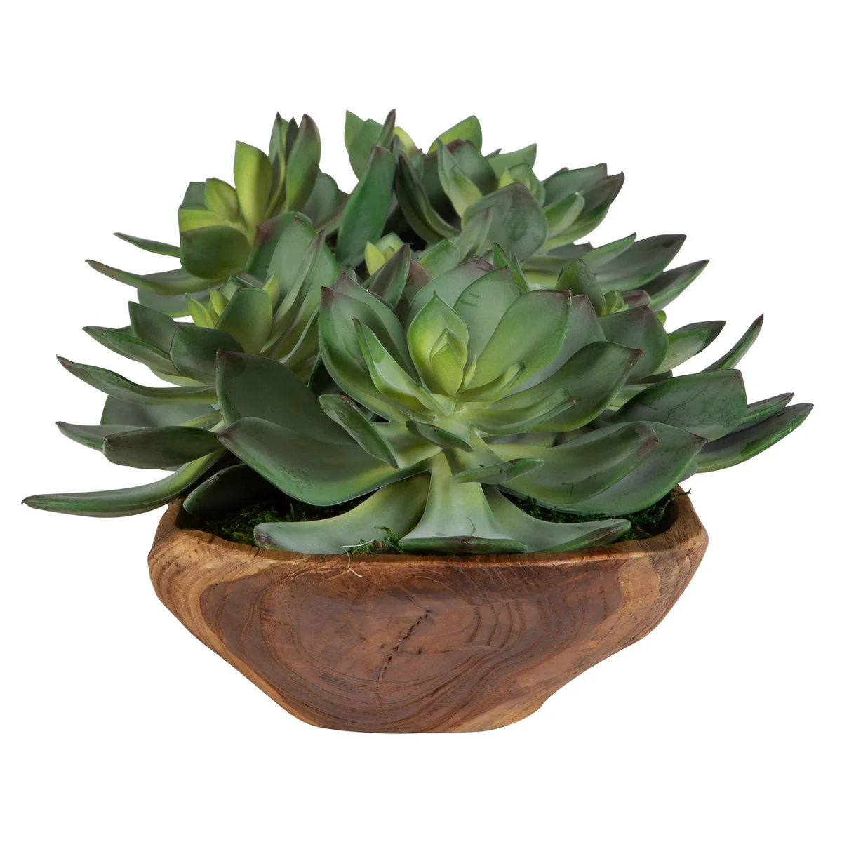 Uttermost Yuma Succulent Centerpiece Botanicals - Image 5