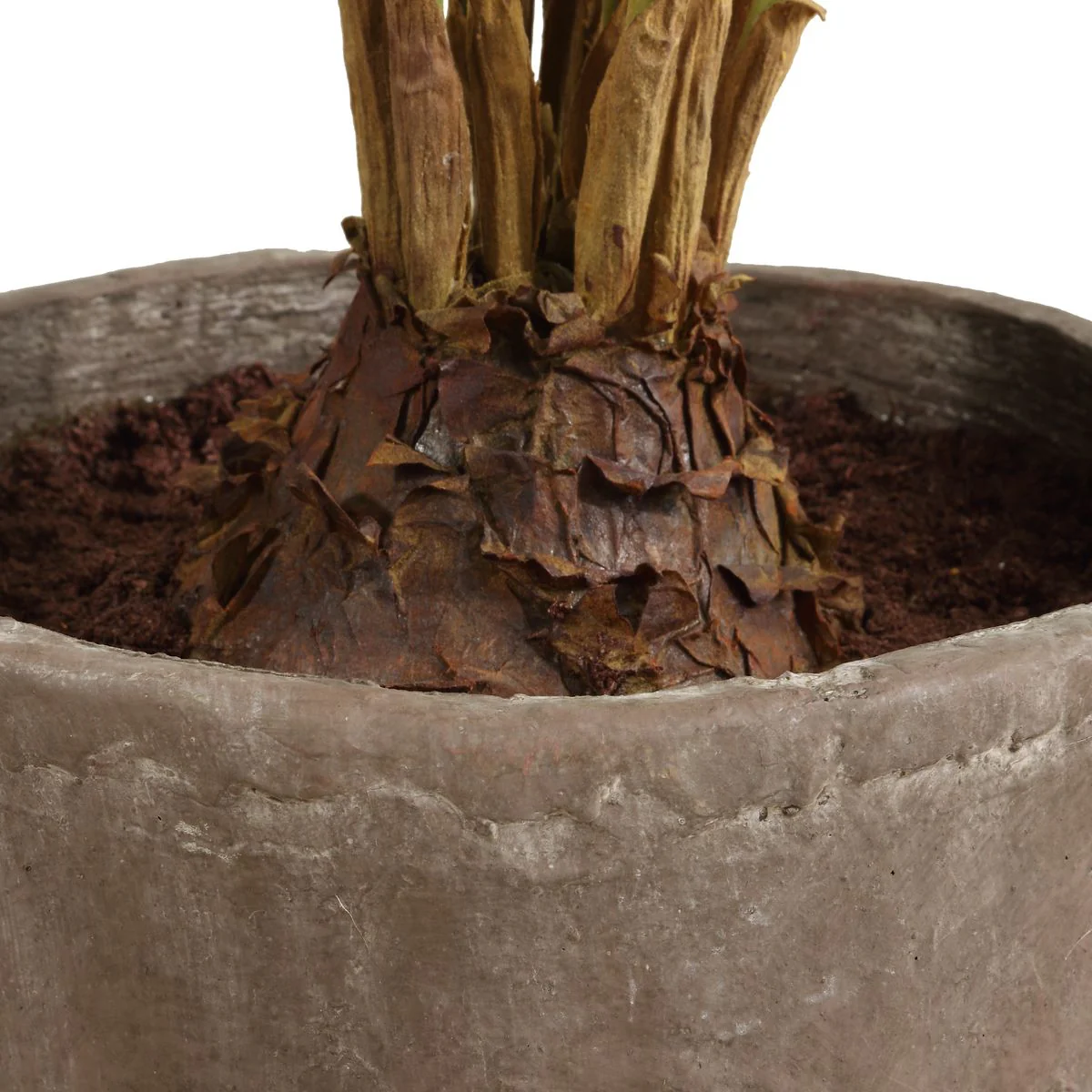 Uttermost Zamia Palm Tree With Rustic Concrete Pot - Image 2