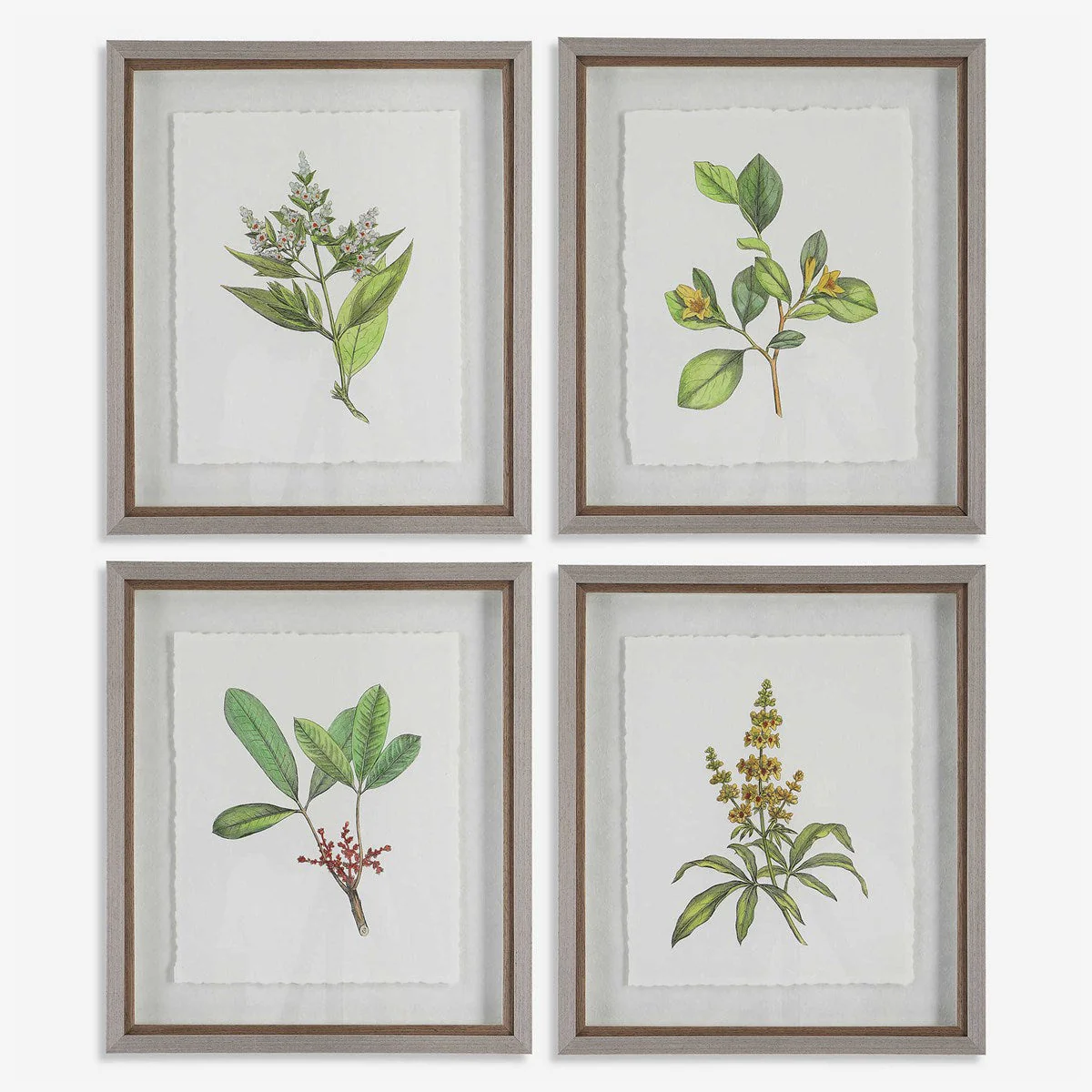 Uttermost Wildflower Study Set of 4 Framed Prints - Image 2